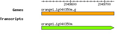 orange1.1g040350m.g.png
