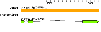 orange1.1g034751m.g.png