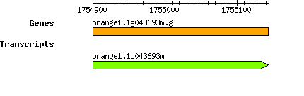 orange1.1g043693m.g.png