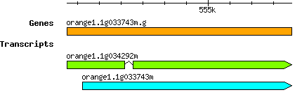 orange1.1g033743m.g.png