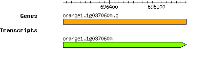 orange1.1g037060m.g.png