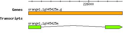 orange1.1g045425m.g.png