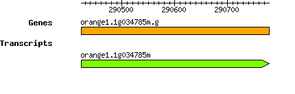 orange1.1g034785m.g.png