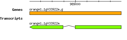 orange1.1g033922m.g.png