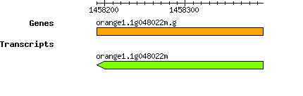 orange1.1g048022m.g.png