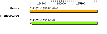 orange1.1g044017m.g.png