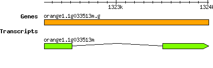 orange1.1g033513m.g.png