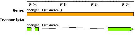 orange1.1g034402m.g.png