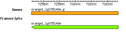 orange1.1g035146m.g.png