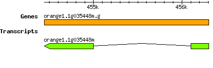 orange1.1g035448m.g.png
