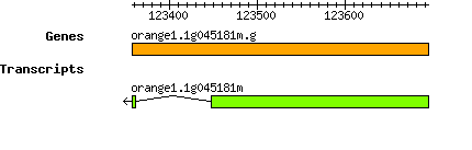 orange1.1g045181m.g.png