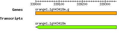 orange1.1g043418m.g.png
