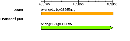 orange1.1g038965m.g.png