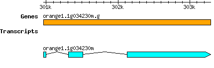 orange1.1g034230m.g.png