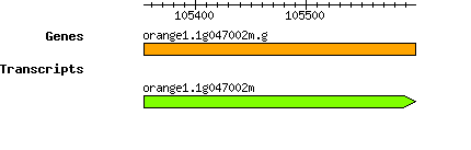 orange1.1g047002m.g.png