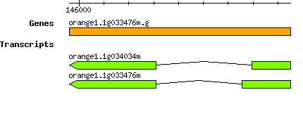 orange1.1g033476m.g.png