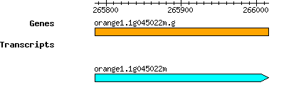 orange1.1g045022m.g.png