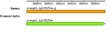 orange1.1g035250m.g.png