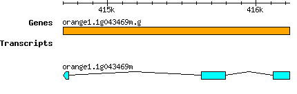 orange1.1g043469m.g.png