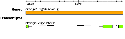 orange1.1g046657m.g.png