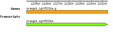 orange1.1g035331m.g.png