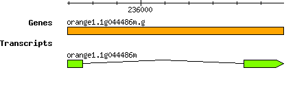 orange1.1g044486m.g.png