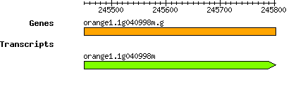 orange1.1g040998m.g.png