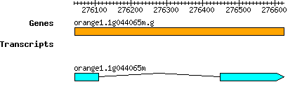orange1.1g044065m.g.png