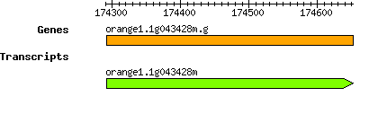 orange1.1g043428m.g.png