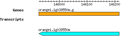 orange1.1g039550m.g.png