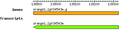 orange1.1g034543m.g.png