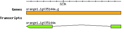 orange1.1g035144m.g.png