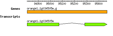 orange1.1g034505m.g.png