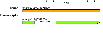 orange1.1g034978m.g.png