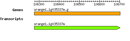 orange1.1g035337m.g.png