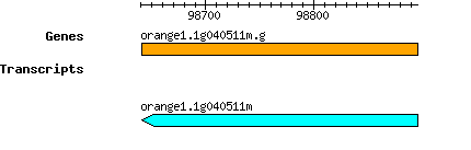 orange1.1g040511m.g.png