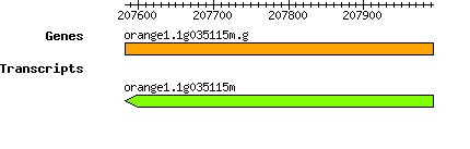 orange1.1g035115m.g.png