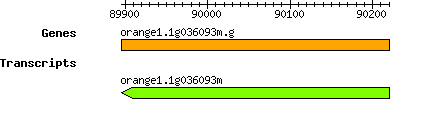 orange1.1g036093m.g.png