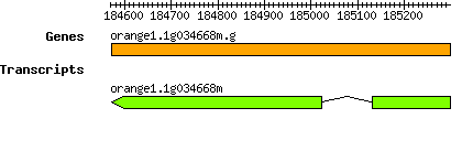 orange1.1g034668m.g.png