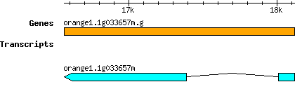 orange1.1g033657m.g.png
