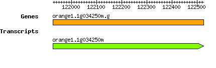 orange1.1g034250m.g.png