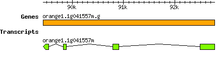 orange1.1g041557m.g.png