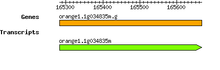 orange1.1g034835m.g.png