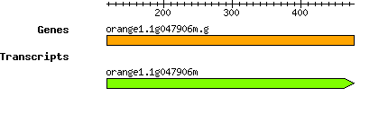 orange1.1g047906m.g.png