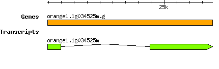 orange1.1g034525m.g.png