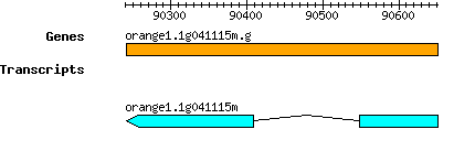 orange1.1g041115m.g.png