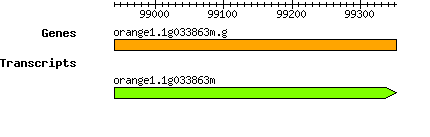 orange1.1g033863m.g.png