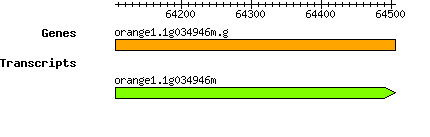 orange1.1g034946m.g.png