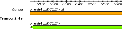 orange1.1g035124m.g.png