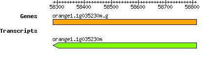orange1.1g035230m.g.png